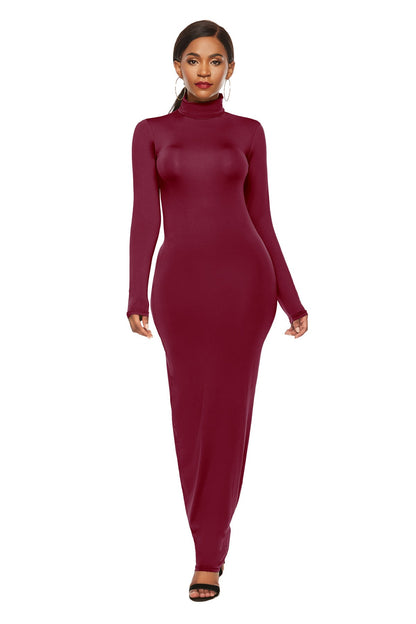 Modest Slim Fit Long Sleeve Turtleneck Dress